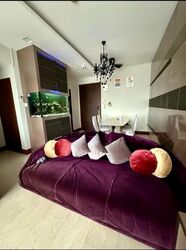 Sunhaven (D16), Condominium #629316211